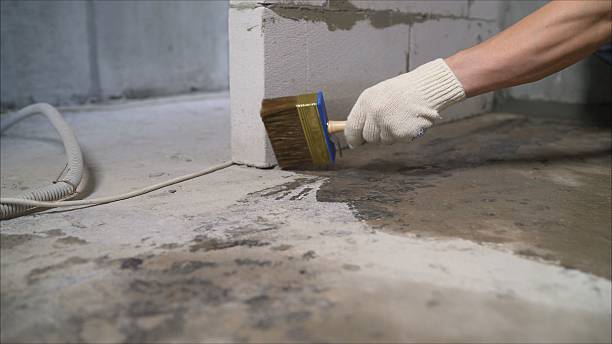 SJ Waterproofing Pros Waterproofing coverage map for Mascot, TN and surrounding area